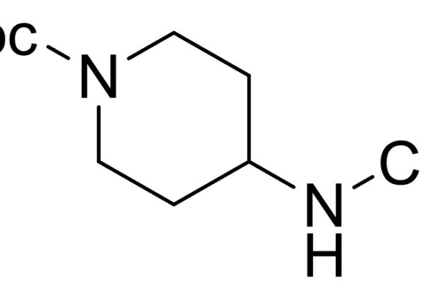 1-Boc-4-Methylaminopiperidine