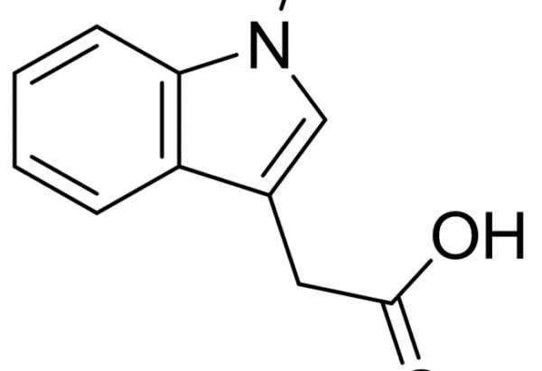 1-Methyl-3-Indoleacetic Acid