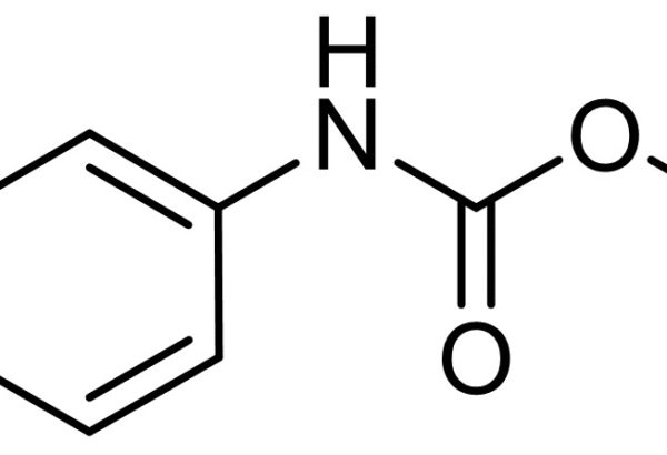 1-N-Boc-3-Fluoro-Aniline