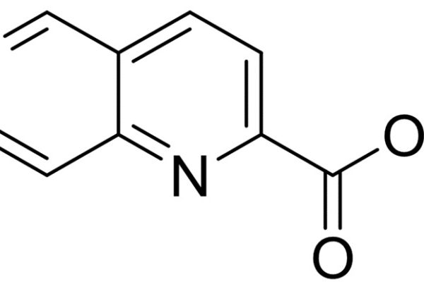 1,6-Naphthyridine-2-Carboxylic Acid