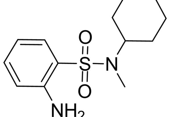 2-Amino-N-cyclohexyl-N-methylbenzenesulfonamide