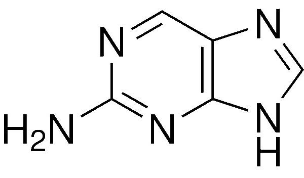 2-Aminopurine