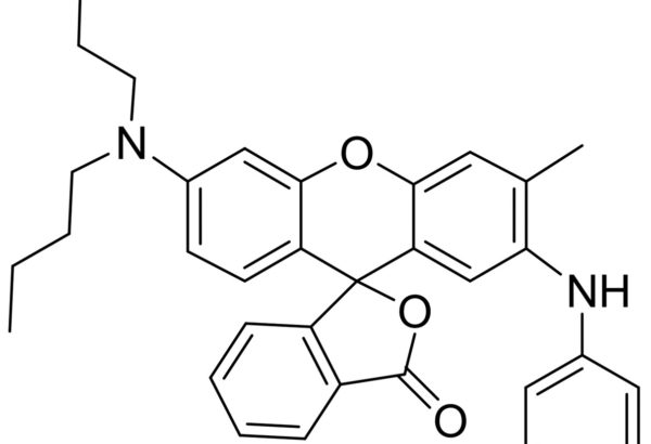 2-Anilino-6-dibutylamino-3-methylfluoran