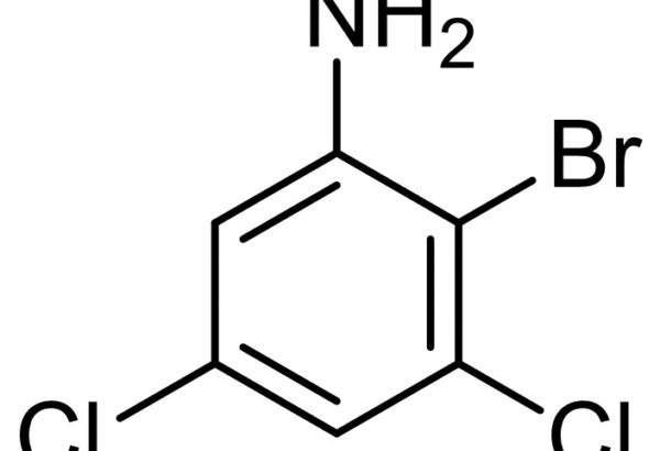 2-Bromo-3,5-Dichlorobenzenamine