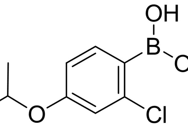 2-Chloro-4-Isoproproxyphenylboronic Acid
