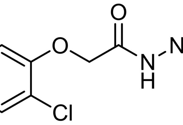 2-Chlorophenoxyacetic Acid Hydrazide