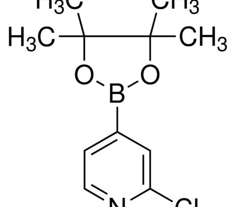 2-Chloropyridine-4-boronic acid pinacol ester