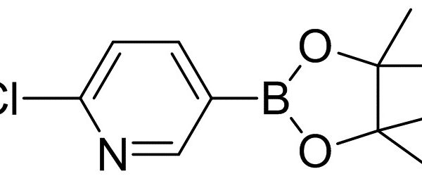 2-Chloropyridine-5-boronic acid pinacol ester