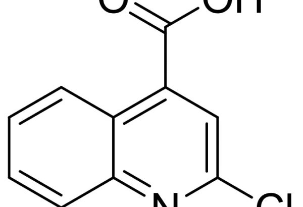2-Chloroquinoline-4-Carboxylic Acid