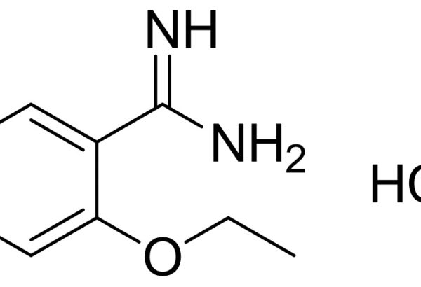 2-Ethoxybenzamidine hydrochloride