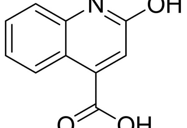 2-Hydroxyquinoline-4-Carboxylic Acid