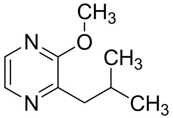 2-Isobutyl-3-Methoxypyrazine 1 2-Isobutyl-3-Methoxypyrazine
