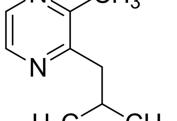 2-Isobutyl-3-methylpyrazine