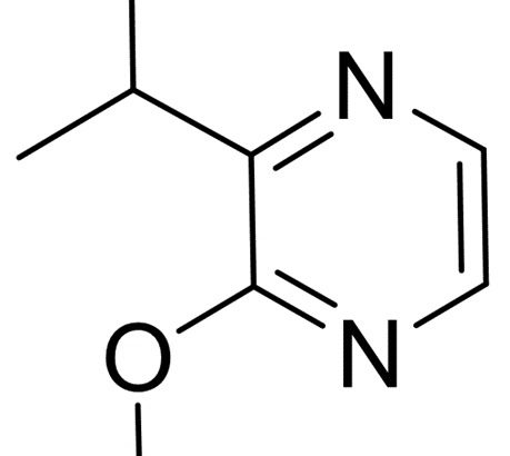 2-Isopropyl-3-methoxypyrazine 1 2-Isopropyl-3-methoxypyrazine