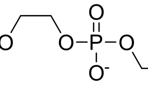 2-Methacryloyloxyethyl phosphorylcholine