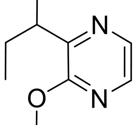 2-Methoxy-3-sec-butyl pyrazine