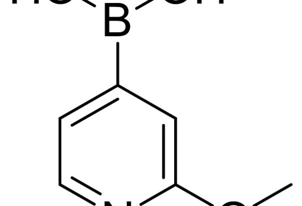 2-Methoxypyridne-4-Boronic Acid