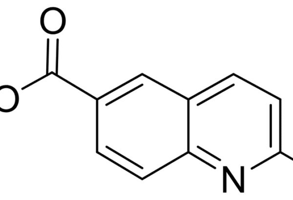 2-Methyl-6-Quinolinecarboxylic Acid
