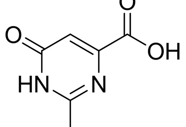 2-methyl-6-oxo-1,6-dihydro-pyrimidine-4-carboxylic acid