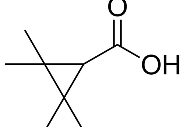 2,2,3,3-Tetramethylcyclopropanecarboxylic Acid
