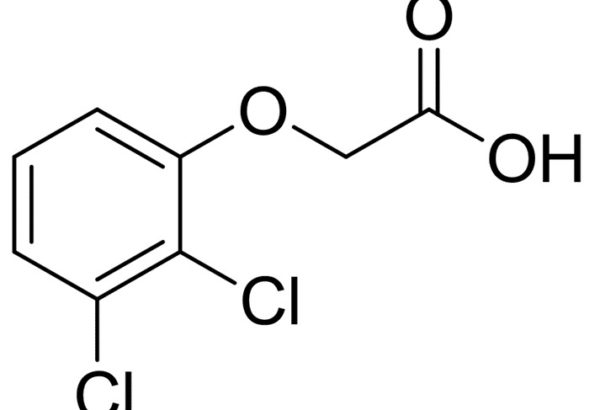 2,3-Dichlorophenoxyacetic Acid