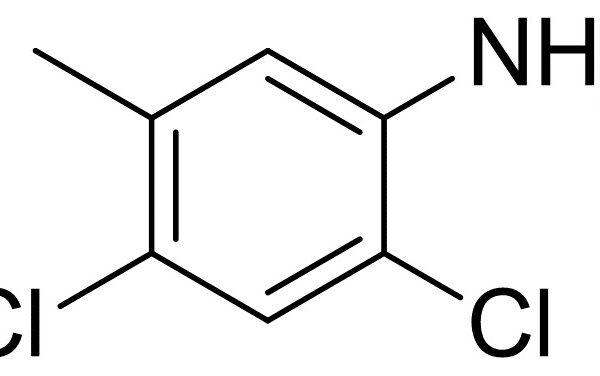2,4-Dichloro-5-Methyl-Phenylamine