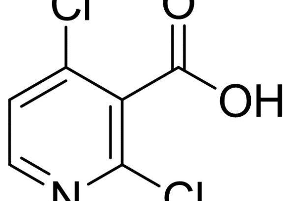2,4-Dichloropyridine-3-carboxylic acid