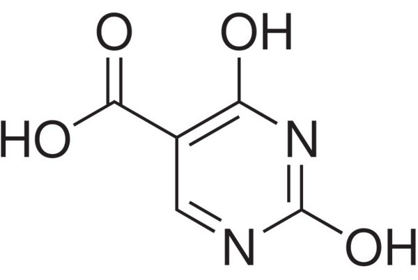2,4-Dihydroxypyrimidine-5-carboxylic acid 1 2,4-Dihydroxypyrimidine-5-carboxylic acid