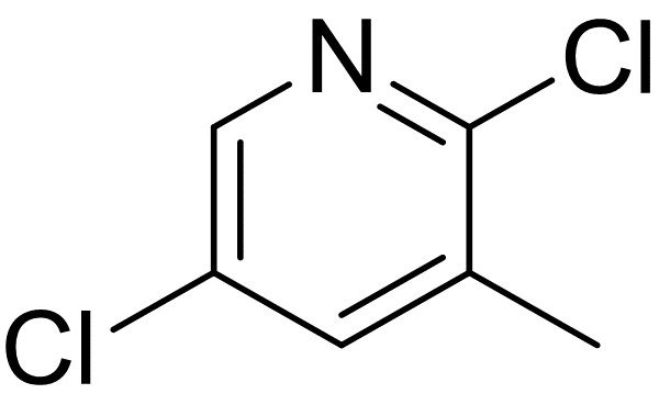 2,5-Dichloro-3-Picoline