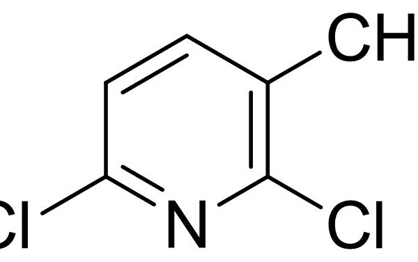 2,6-Dichloro-3-Methylpyridine
