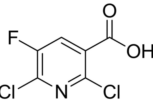 2,6-Dichloro-5-Fluoronicotinic Acid