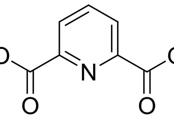 2,6-Pyridinedicarboxylic Acid Monomethyl Ester