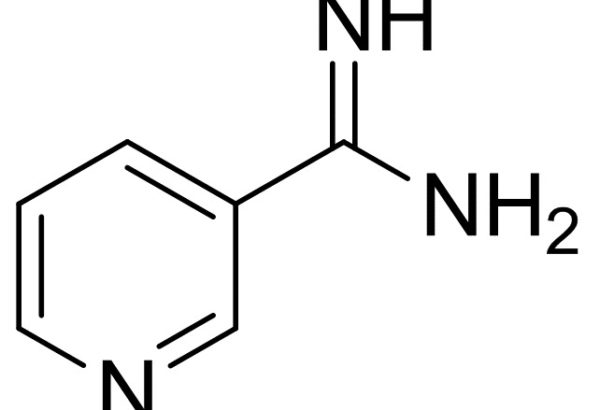 3-Amidinopyridine