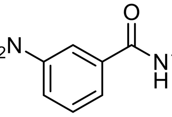 3-Aminobenzoylmethylamide