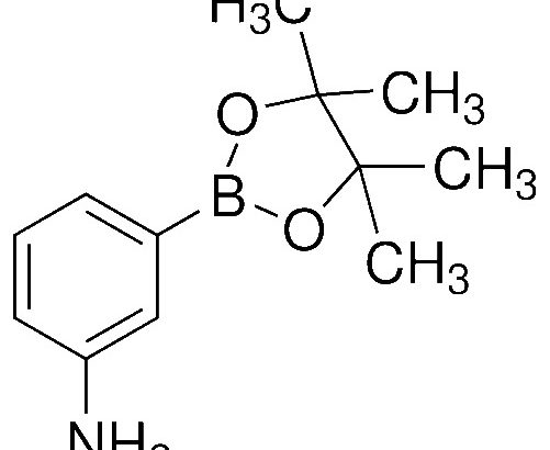 3-Aminophenylboronic acid pinacol ester