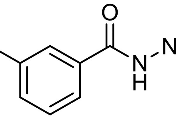 3-Chlorobenzhydrazide