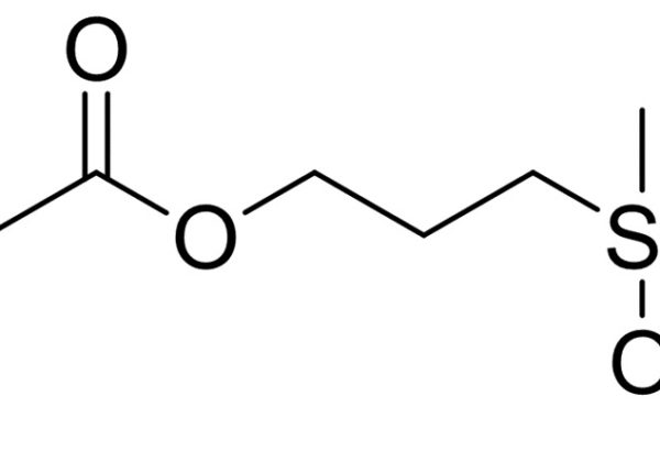 3-Methacryloxypropylmethyldimethoxysilane