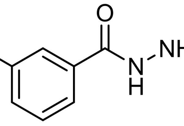 3-Methyl-Benzoylhydrazide