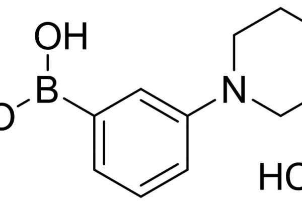 3-Morpholinophenylboronic acid hydrochloride