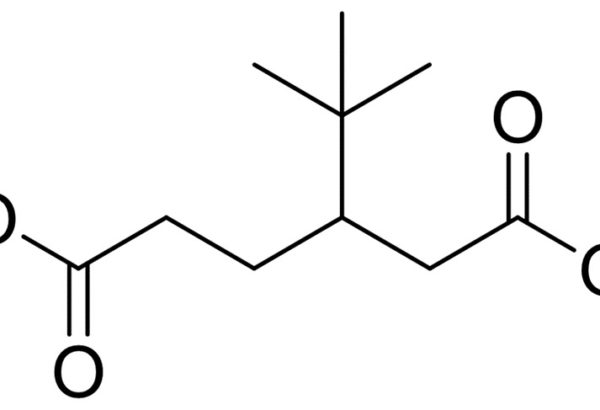 3-Tert-Butyladipic Acid