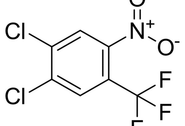 3,4-Dichloro-6-Nitrobenzotrifluoride