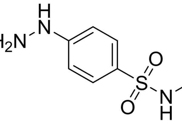 4-Hydrazino-N-methylbenzenemethanesulfonamide