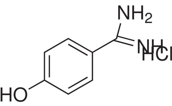 4-Hydroxybenzamidine Hydrochloride