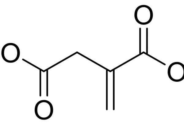 4-Methyl Methylenesuccinate