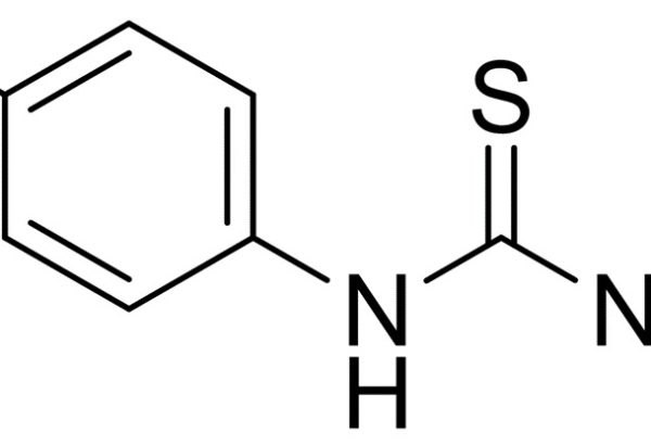 4-Methylphenylthiourea