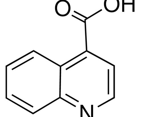 4-Quinolinecarboxylic acid