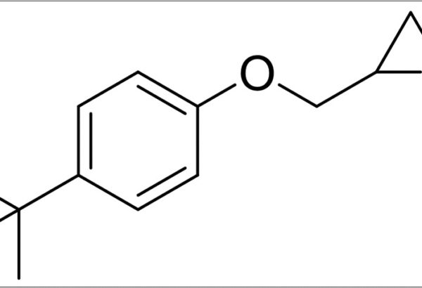 4-t-Butylphenyl Glycidyl Ether