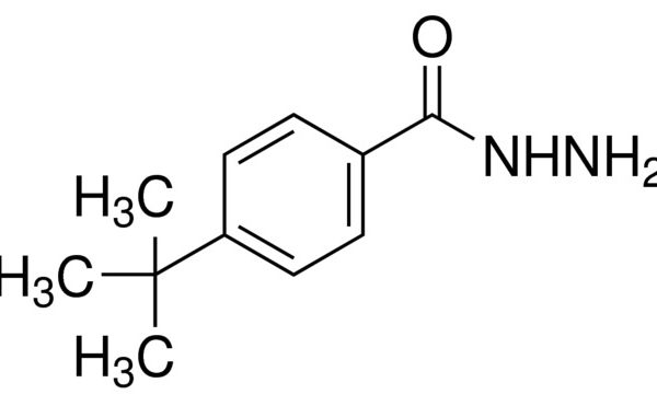 4-tert-Butylbenzhydrazide
