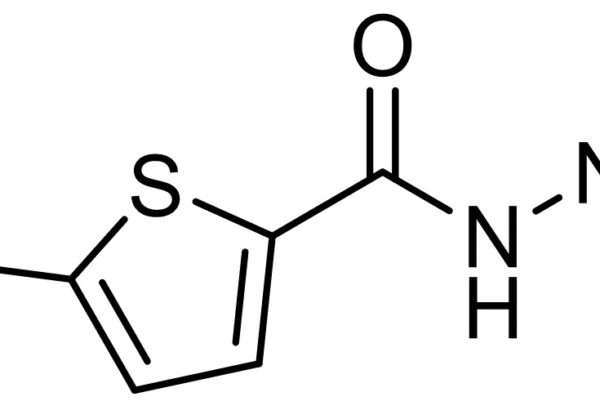 5-Bromothiophene-2-Carbohydrazide