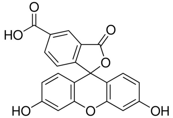 5-Carboxyfluorescein
